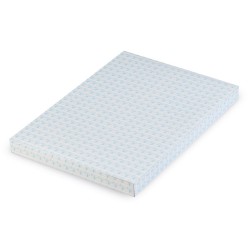 ASTUCCIO
