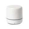 RABS SPEAKER