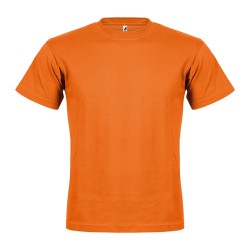 BOMBER COLOR
