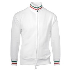 TRICOLOR SPRING
