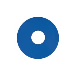STEP