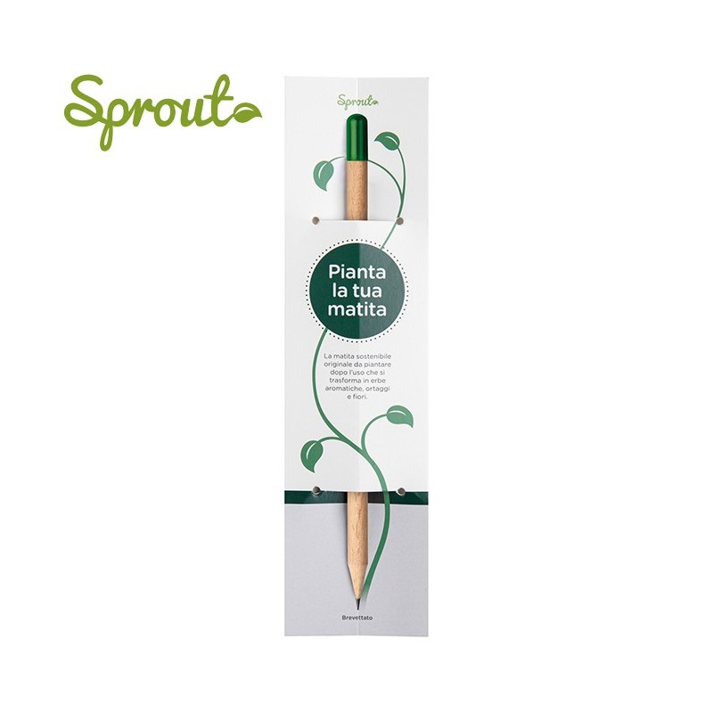ASTUCCIO SPROUT