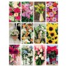 FIORI