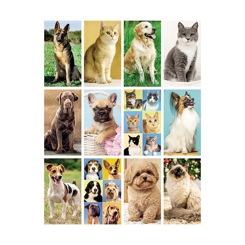 CANI E GATTI
