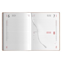 AGENDA GIORNALIERA