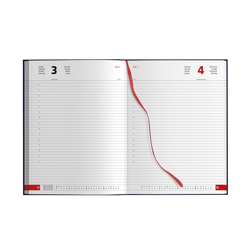AGENDA GIORNALIERA MAXI AGENDA GIORNALIERA MAXI