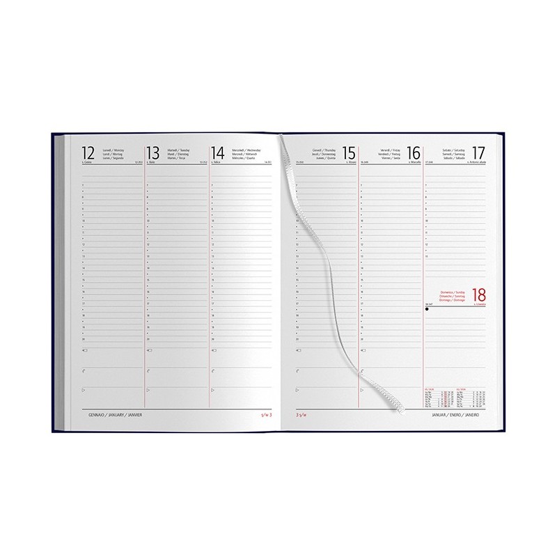 AGENDA SETTIMANALE MAXI AGENDA SETTIMANALE MAXI